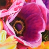 Betty Clarberg