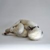 Lucy Glendinning
