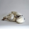 © Lucy Glendinning