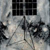Timothy Crisp