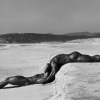 Herb Ritts