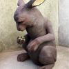 Margit Brundin
