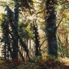 Robert Terry