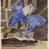 Susanne Henriques