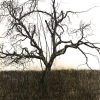 Patrick Nilsson