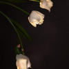 Sonja Hesslow