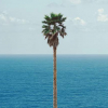 John Baldessari