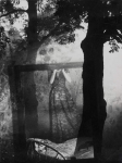 Rut Hillarp