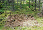  Kanslibyrån