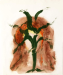 Birgitta Wennerling