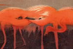 Joakim Derlow