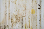 Susanne Westerberg