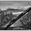 Anders Alm