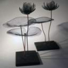 Eva Orrbeck