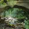 Anders Zorn