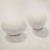 Ann Wachtmeister