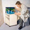 Kristoffer Zetterstrand