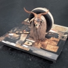Robert Rauschenberg