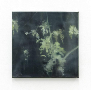 Klicka –stor bild kan finnas!