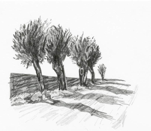 <em>©  </em>