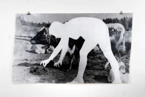 sorry, minified image is missing, click to see the bigger version