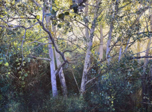 Klicka –stor bild kan finnas!