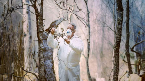 verk av konstnären Albin Biblom ska visas här