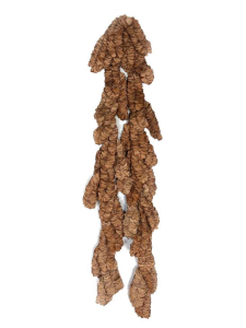 sorry, minified image is missing, click to see the bigger version