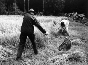 sorry, minified image is missing, click to see the bigger version